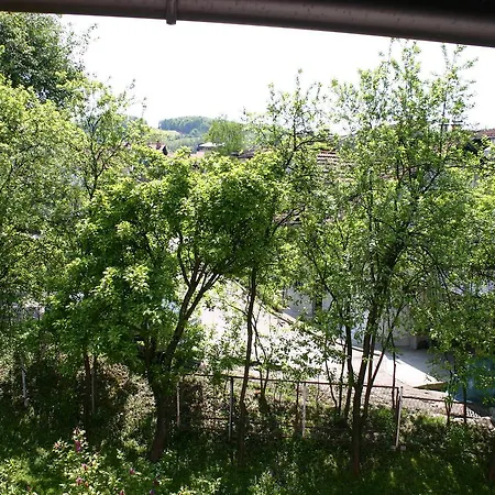 住宿加早餐酒店 Starcevica *